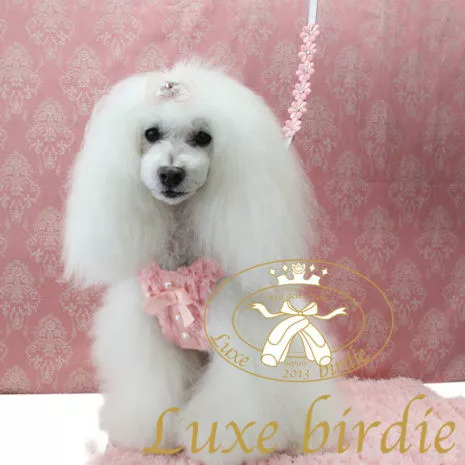 Luxe_Birdie_Priscillar_leash_pink_3_eulxpj
