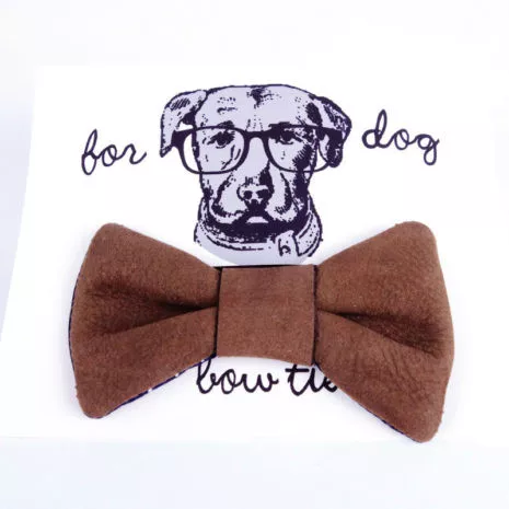 dog-bowtie-brown-polkadots-01_fxqu5k