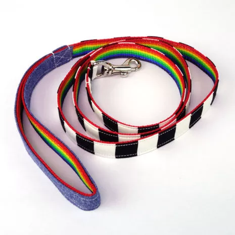 dog-leash-bw-rainbow-02