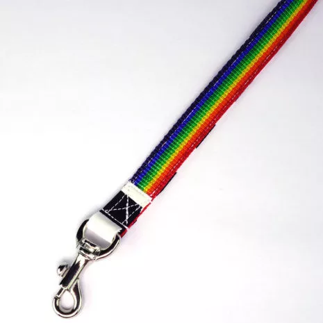 dog-leash-bw-rainbow-08