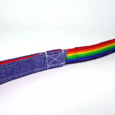dog-leash-bw-rainbow-09