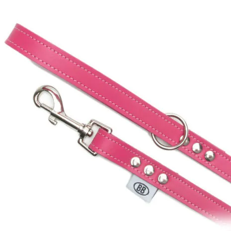 Hot Pink Leash 3/4"