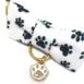 Paws Charm