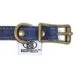 Blue Jean BB Buckle