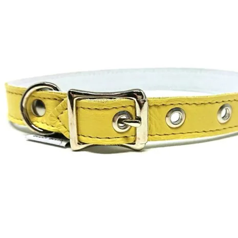 Buddy-Belts-Sunflower-Luxury-Collar