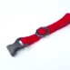 Camellia_cat_collar_-_3_1_gjhx4r