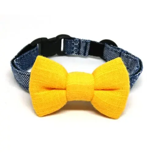 Sunshine collar with bowtie for cats and small dogs