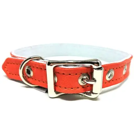 Sunset Collar 3/4