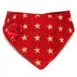 Gold Stars Front