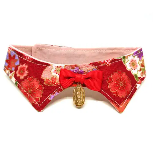 When In Doubt Wear Red decorative collar