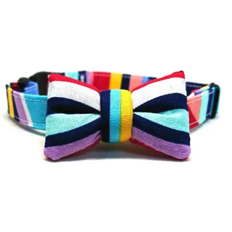Technicolour Front
