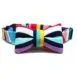 Technicolour Front