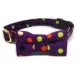 Sassy Dots Purple Front