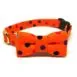 Sassy Dots Orange Front