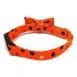 Sassy Dots Orange Back