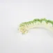 Deco_collar_-_Crochet_and_green_ribbon_-_2_mxlgds
