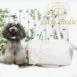 Luxe_Birdie_Priscilla_leash_1_zxdfps