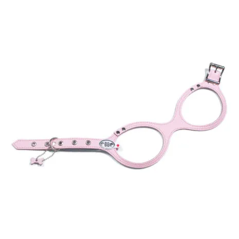 PinkBB_zzjhf3