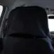 Raffwear front seat cover - rear zipper