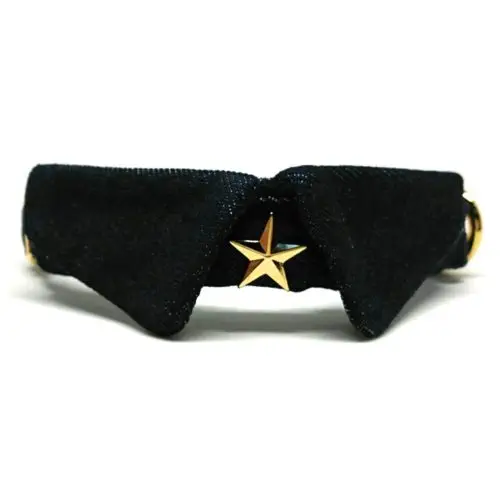 Rock Star – Collar for Small to Medium Dogs