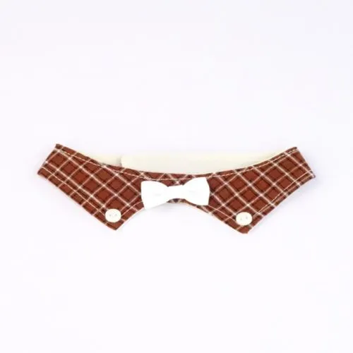 Suit Up Decorative Collar