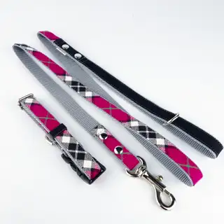 Warp and Weft – Collar and Leash for Small Dogs