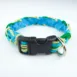 With_a_Twist_blue_green_collar_-_2_enddjr