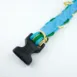 With_a_Twist_blue_green_collar_-_6_vnxmlb