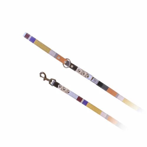 Buddy Belts Elite Leather Leash (Mod)