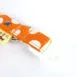 dog-collar-beach-holiday5