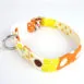 dog-collar-beach-holiday7
