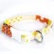 dog-collar-beach-holiday8_bh2rbj (1)