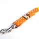 dog-leash-beach-holiday19