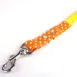 dog-leash-beach-holiday21