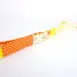 dog-leash-beach-holiday22