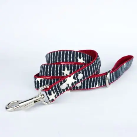 dog-leash-stars-and-stripes_otttmv