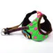 dog-vest-bear-motif-70