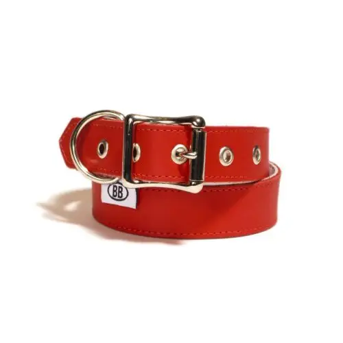 Buddy Belts Premium ID Collars (Red)