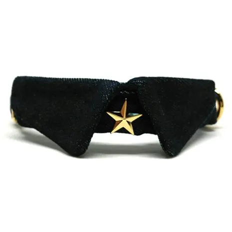 Rock-Star-Front