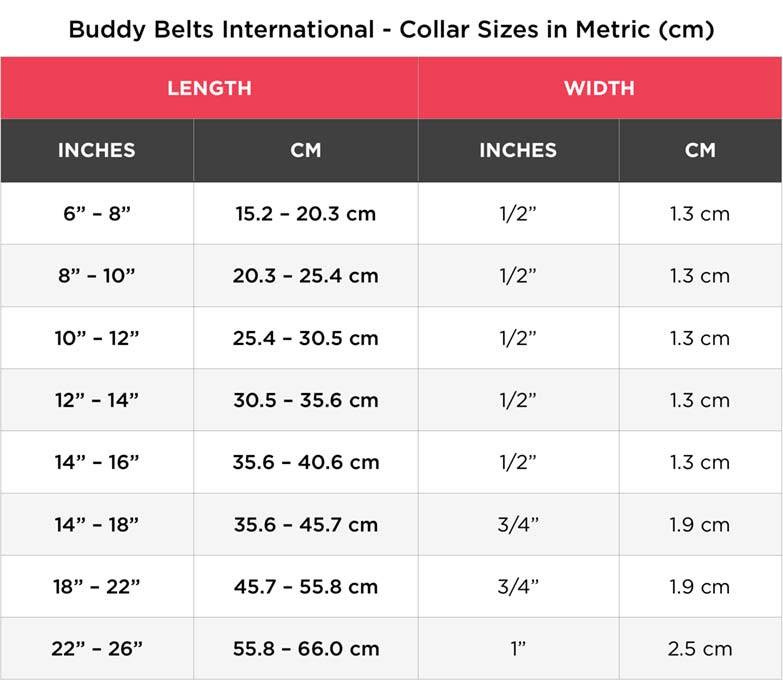 buddy belt collar