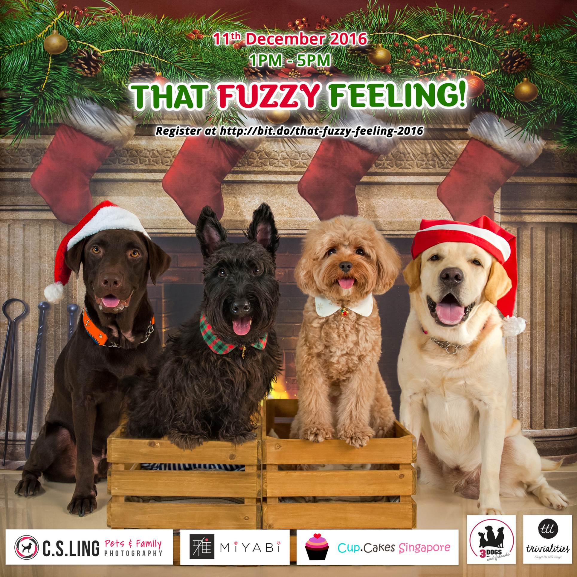 Join us for That Fuzzy Feeling II: A Dog-friendly Tea Paw-ty