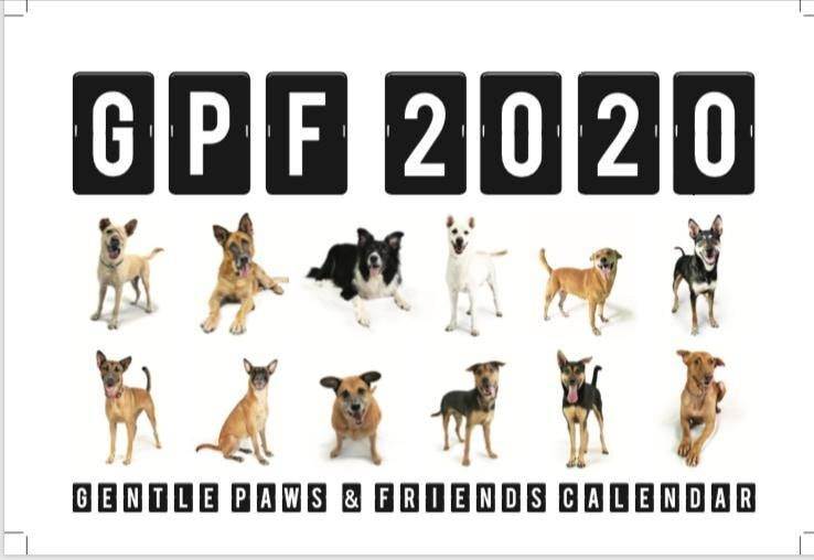 “Gentle Paws & Friends”– Gentle Paws Dog Shelter 2020 Calendar
