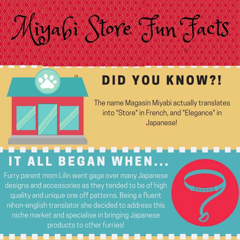 Miyabi Fun Facts – Get To Know Us!